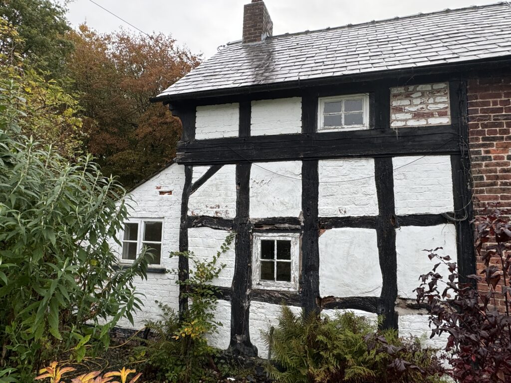 A white plaster and black timber-framed cottage with small windows, a brick chimney, and a slate roof stands surrounded by greenery and autumnal plants.